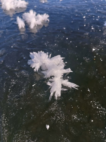 Рекордный экспорт мухоморов и ответ на угрозы Зеленского: девять главных событий недели в Пермском крае