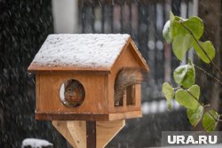 Чем заняться в Перми в День народного единства