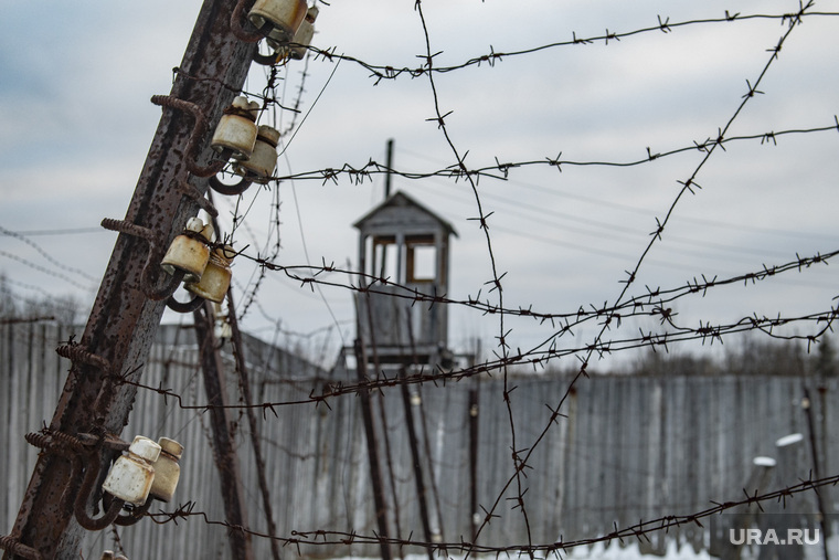 Пермские слухи: убийца требует VIP-условий