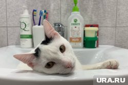 Прокуратура взяла на контроль восстановление водоснабжения в Пермском крае