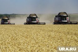 ЦБ пойдет на риск, чтобы остановить инфляцию