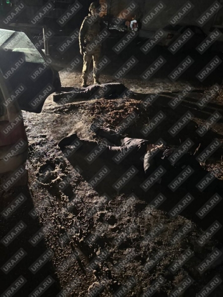 ФСБ накрыла пермскую ОПГ, которая похищала нефть. Фото