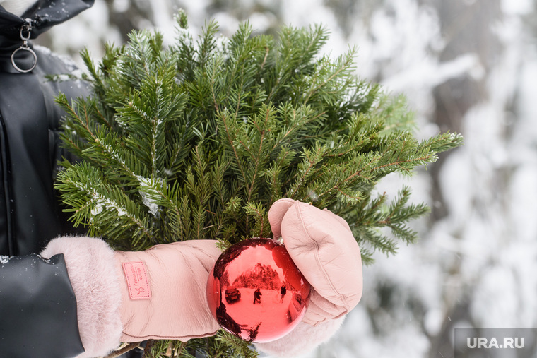 Где и&nbsp;с&nbsp;кем известные пермяки встретят Новый год