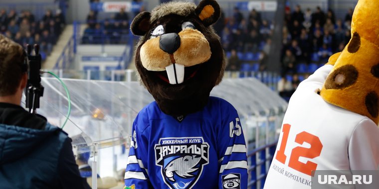 Любимая игра: как хоккейное «Зауралье» стало главной командой Курганской области