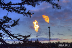 Мыть самолеты за 300 тысяч рублей: куда пермяков звали работать за высокую зарплату