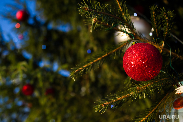 Пермские слухи: уродливая елка для депутатов