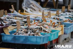 Почему в России дорогие рыба и икра