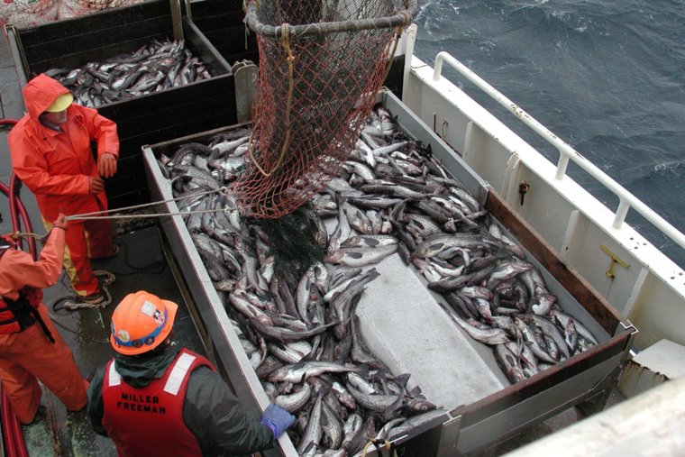 Почему в России дорогие рыба и икра