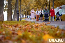 Путин одобрил новый план развития от Мишустина