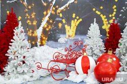 Гуляния, концерты и космос: что ждет пермяков на Рождество