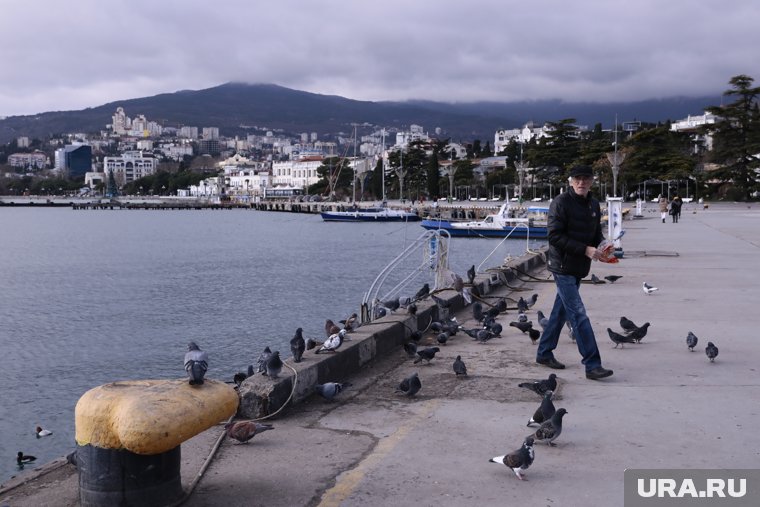 «Я когда смотрю на волонтеров, нервничать начинаю»: как в Крыму ловят мазут