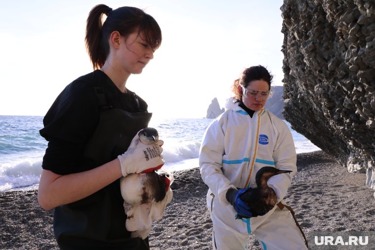 «Я когда смотрю на волонтеров, нервничать начинаю»: как в Крыму ловят мазут