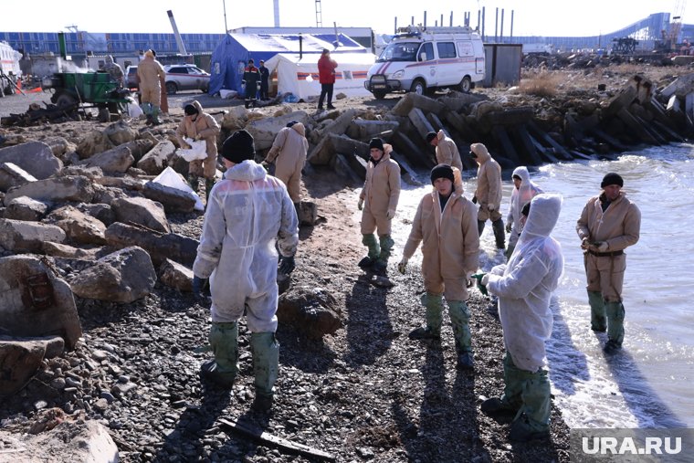 &laquo;Как вообще можно было выпустить его в море?&raquo;: что происходит с обломком &laquo;Волгонефть-239&raquo;