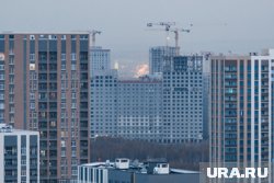 Мишустин избежал краха экономики и доллара по 200 рублей