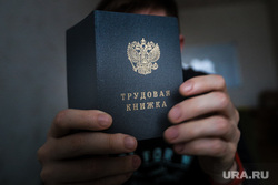 Пермские слухи: портрет Путина заворожил чиновницу