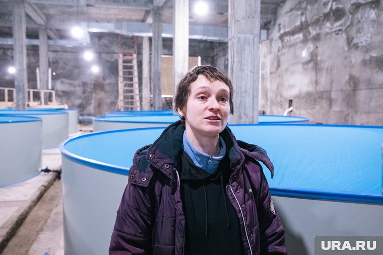 Побережье Черного моря переключили на режим ЧС