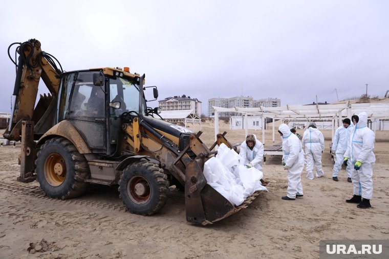 Побережье Черного моря переключили на режим ЧС