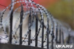 Сын экс-начальника колонии &laquo;Белый лебедь&raquo; Саркисян просит снять судимость