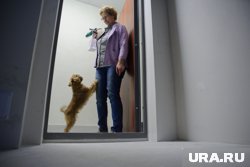 Оформив рассрочку на жилье, семьи рискуют остаться ни с чем