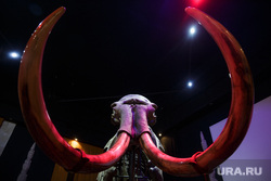 Отдохнуть в &laquo;пяти звездах&raquo;, покатать шары и пообедать с видом на Каму