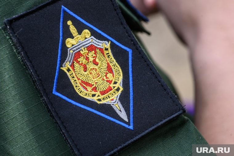 Трамп созвонился с Путиным, США рассчитывают на завершение СВО через полгода: что произошло за неделю