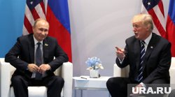 Трамп созвонился с Путиным, США рассчитывают на завершение СВО через полгода: что произошло за неделю