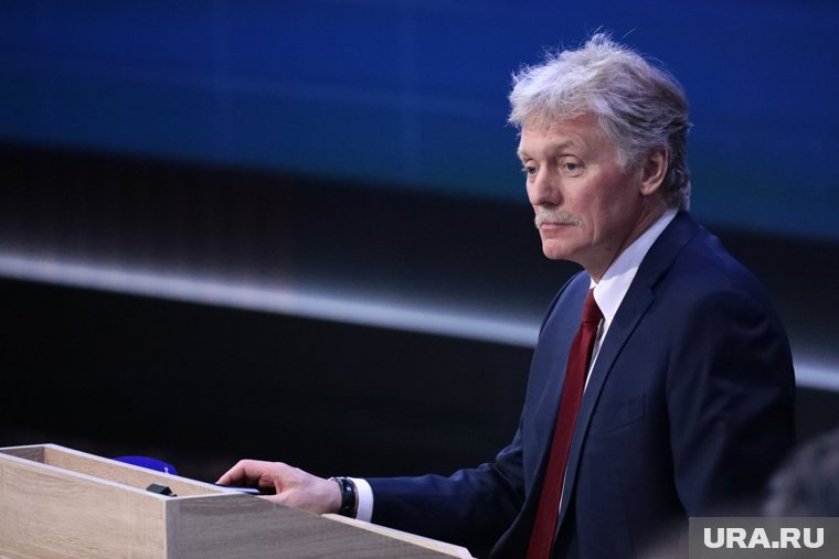 Трамп созвонился с Путиным, США рассчитывают на завершение СВО через полгода: что произошло за неделю