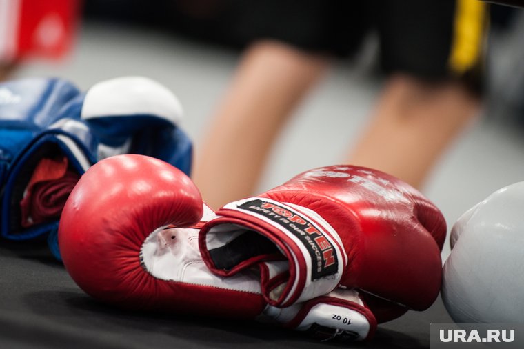 В подпольных спортклубах готовят бойцов этнических ОПГ