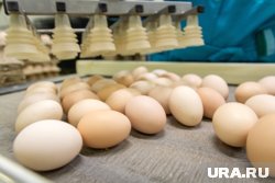 Власти ответили на резкий рост цен на яйца и сливочное масло