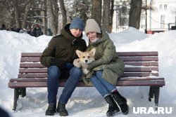 Новые льготы и выплаты: что нужно знать о нацпроекте «Семья»