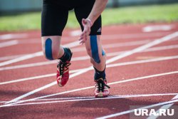 Обращение школьников к Путину, конфликты интересов и деньги на слона: 10 главных новостей Прикамья