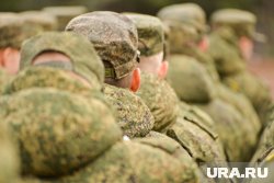 Обращение школьников к Путину, конфликты интересов и деньги на слона: 10 главных новостей Прикамья