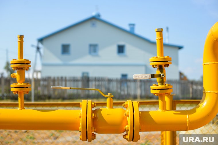 Построил &laquo;инфекционку&raquo; и почти открыл зоопарк