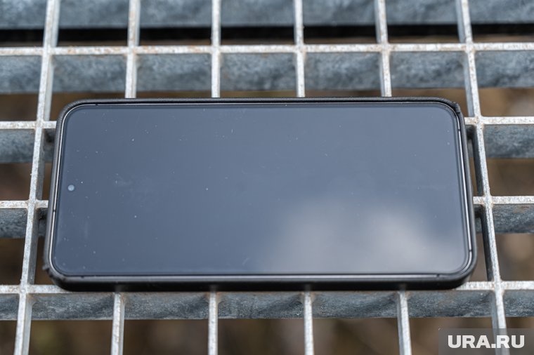 «Берегите животных и каблуки»: журналисты URA.RU в Перми прогулялись по экотропе в долине Егошихи