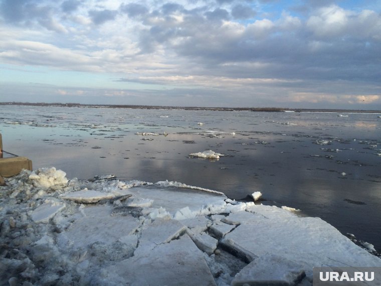 Беженцы из Сирии, отравившийся блогер и пробудившиеся клещи: топ-10 новостей Прикамья за неделю