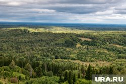 Какие глобальные изменения ждут пермский микрорайон Заимка