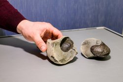 Какие глобальные изменения ждут пермский микрорайон Заимка