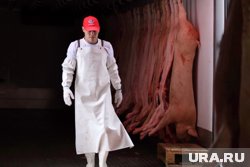 Каким шашлыком начать сезон пикников в 2025 году