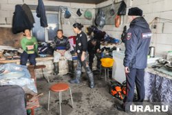 Нелегальные мигранты захватывают подвалы и чердаки жилых домов