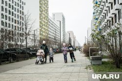 Почему в России не отменяют критерий нуждаемости для многодетных