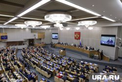 Подпольные ММА-клубы превратили спорт в оружие