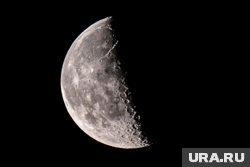 Путин и Трамп заменят Украину самым большим проектом в истории