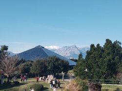 Шведский стол на финише и концерт кавер-группы: журналистка URA.RU пробежала марафон в Турции. Видео