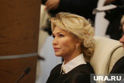 Собирать теплицу и посмотреть новый фильм: чем будут заниматься пермские политики на майские