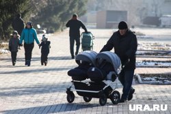 В Госдуме предлагают продлить пособия многодетным