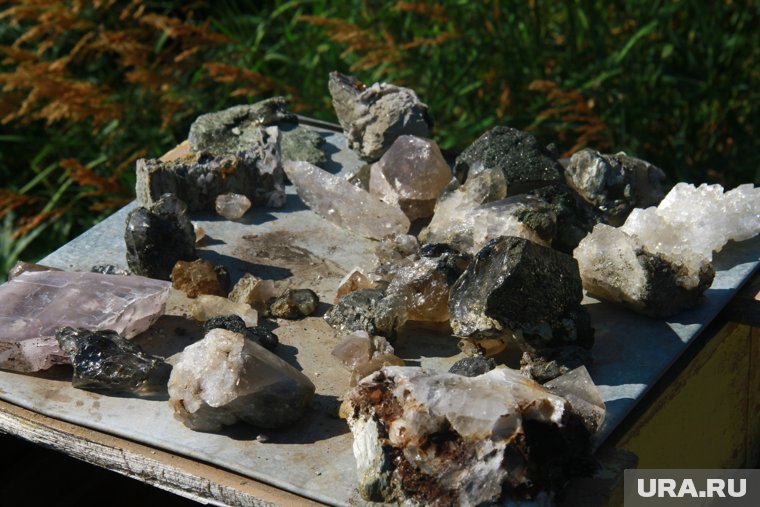 Воевал с Росселем и Трутневым, доверился жулику из США