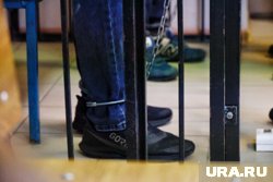 Госдума предложила пожизненно выдворять из РФ мигрантов-педофилов