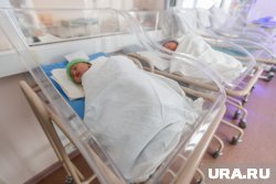 Губернаторы будут хитрить со статистикой ради KPI по рождаемости