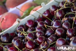 Хайп вокруг неурожая взвинтил стоимость ягод, фруктов и овощей