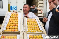 Хайп вокруг неурожая взвинтил стоимость ягод, фруктов и овощей